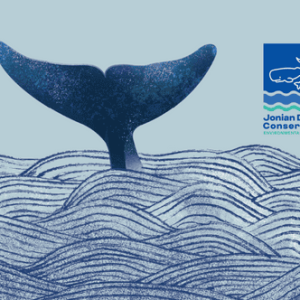 Diventare socio della Jonian Dolphin Conservation