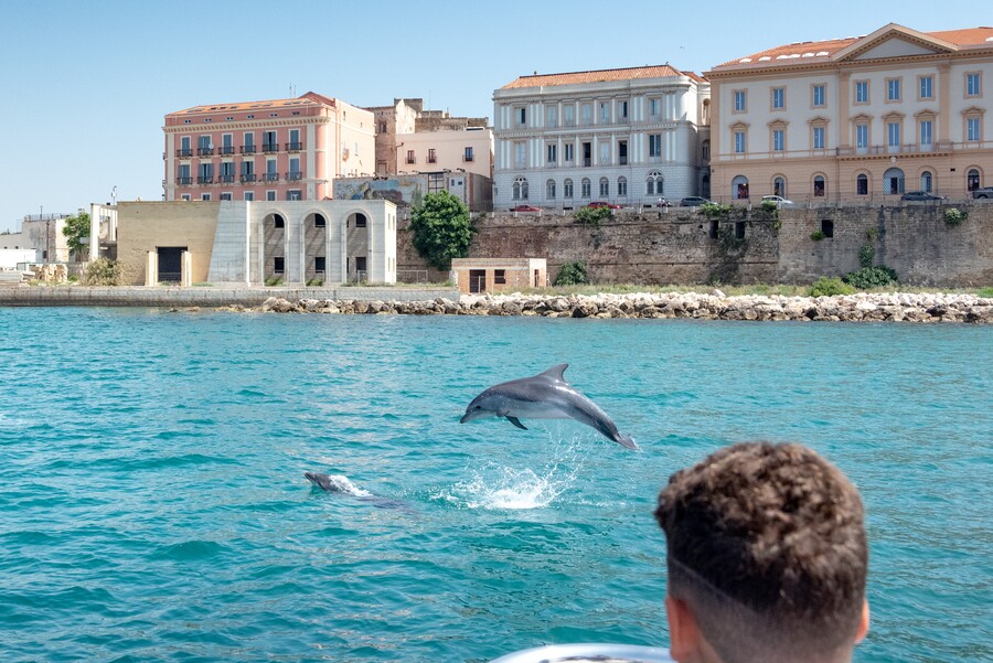 JDC Expedition - Chi può partecipare