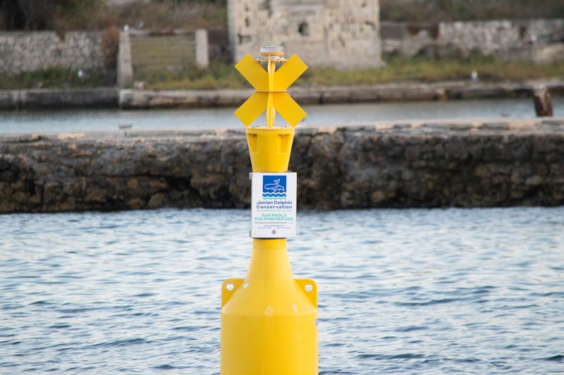 Boa gialla del San Paolo Dolphin Refuge