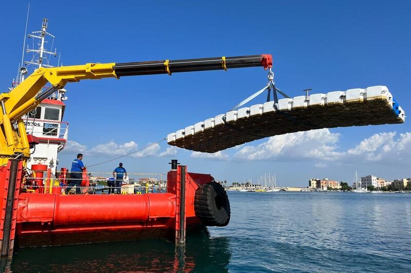 Lavori per il San Paolo Dolphin Refuge